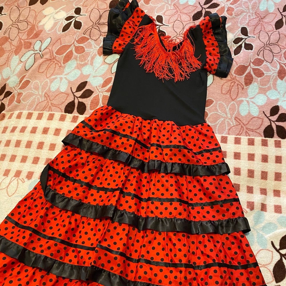 Costumes - Picture 2 of 2